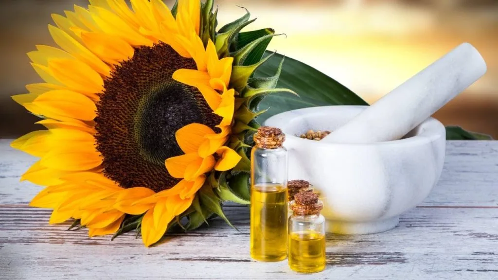 erros ao usar óleo de girassol na pele do rosto
