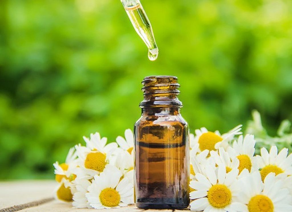 Guia Completo: Como Escolher o Melhor Difusor de Óleos Essenciais