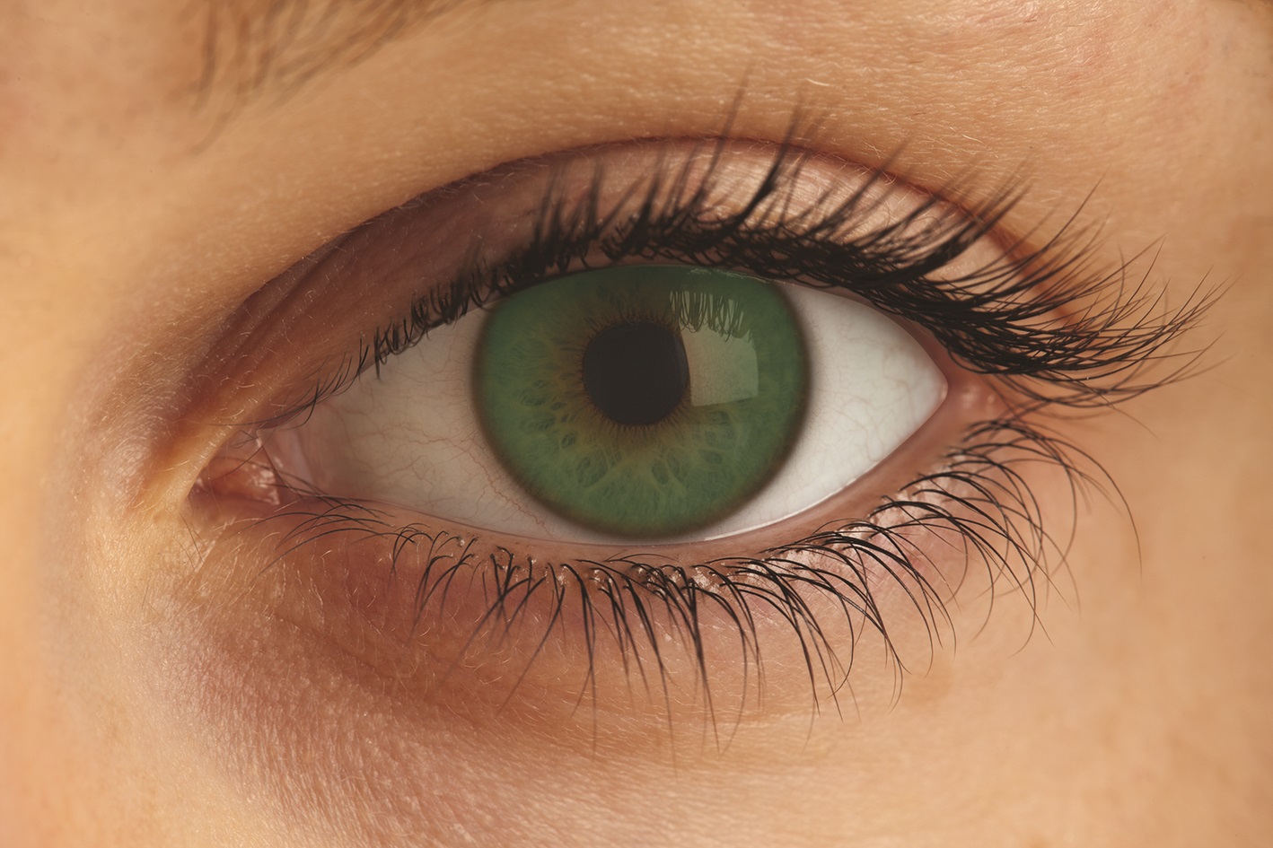 Guia Completo: Tipos de Lentes Verdes para Olhos Castanhos