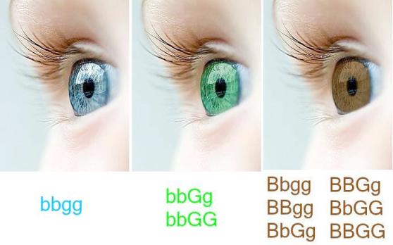 erros comuns ao cuidar de olhos verdes