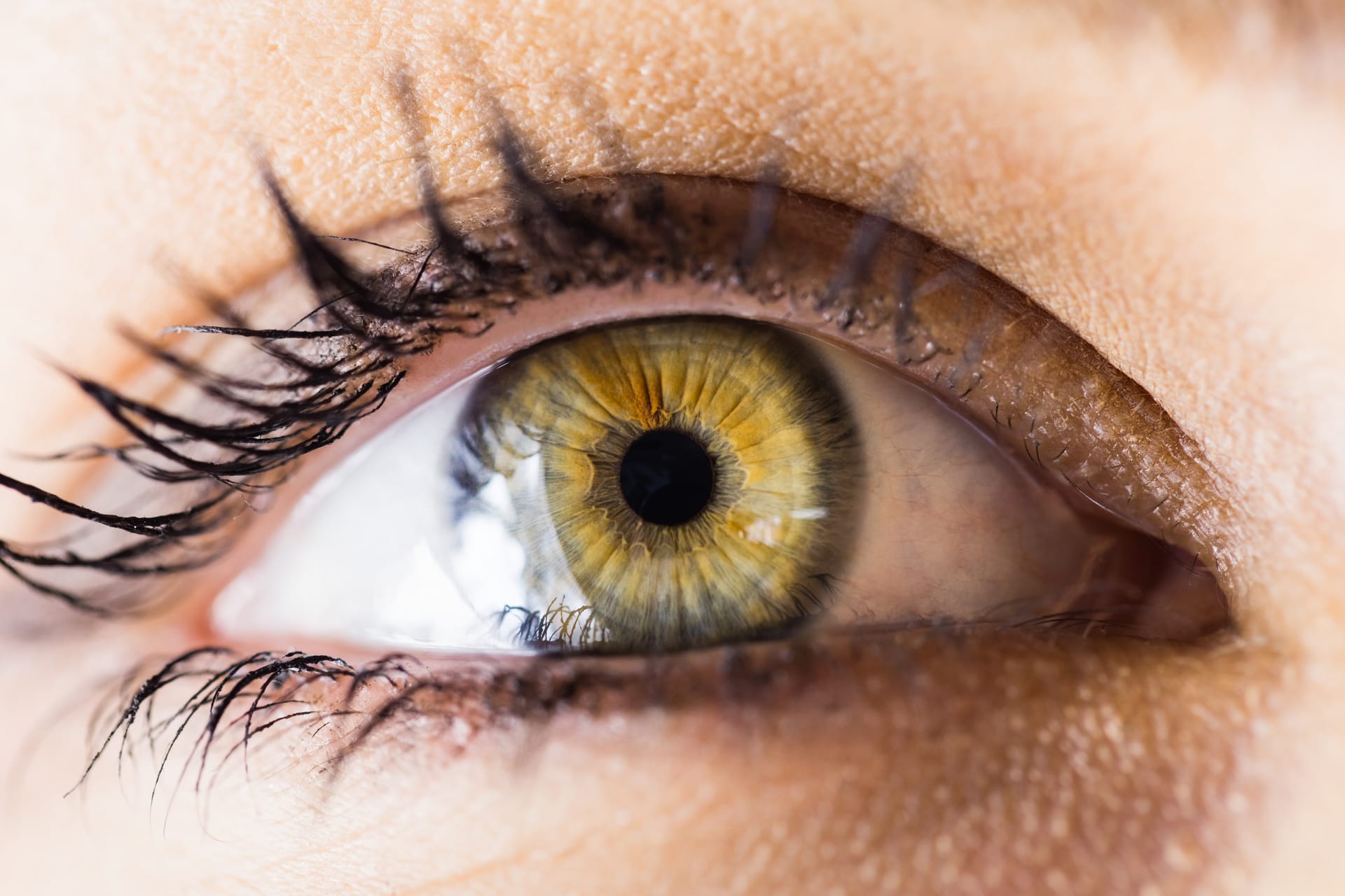raridade olhos cor de mel