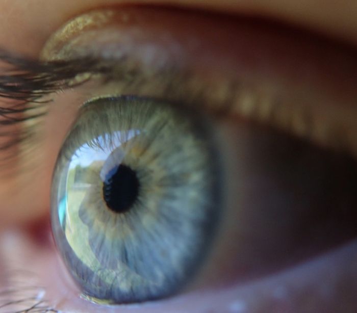 olhos pretos são bonitos