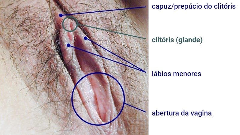 melhores posições para orgasmo feminino