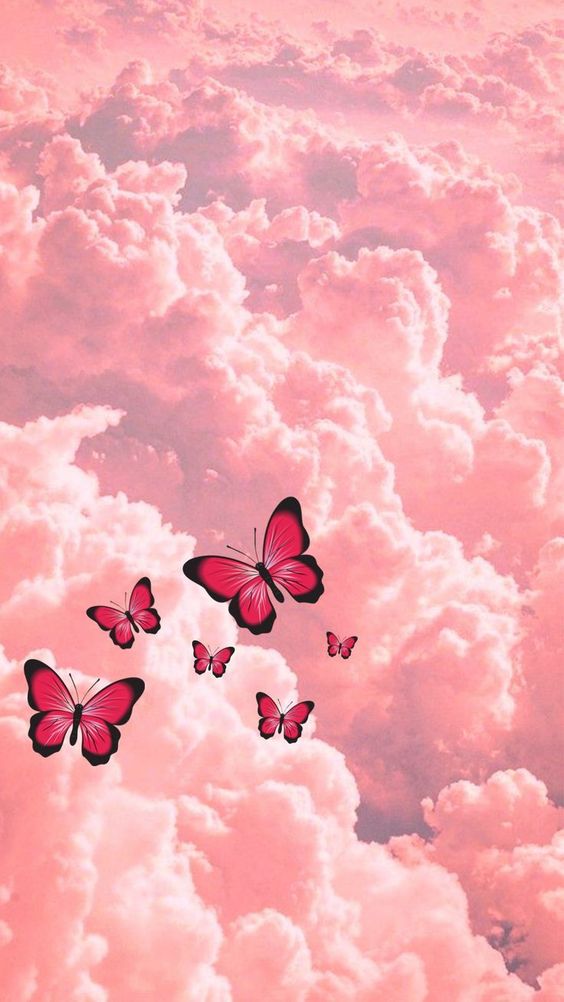 papel de parede feminino vs papel de parede aesthetic: qual escolher