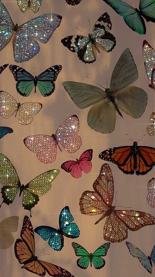 fundos de tela femininos fofos