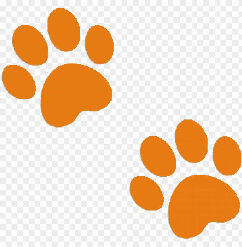 Pododermatite em cães: sintomas