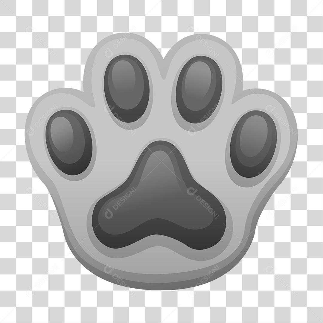 Anatomia das patas do cachorro: tudo o que você precisa saber