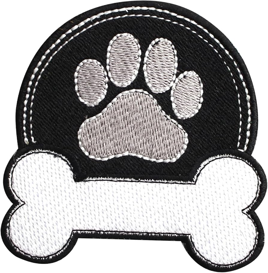 Óleo de coco e vaselina: receitas caseiras para hidratar as patinhas do seu pet