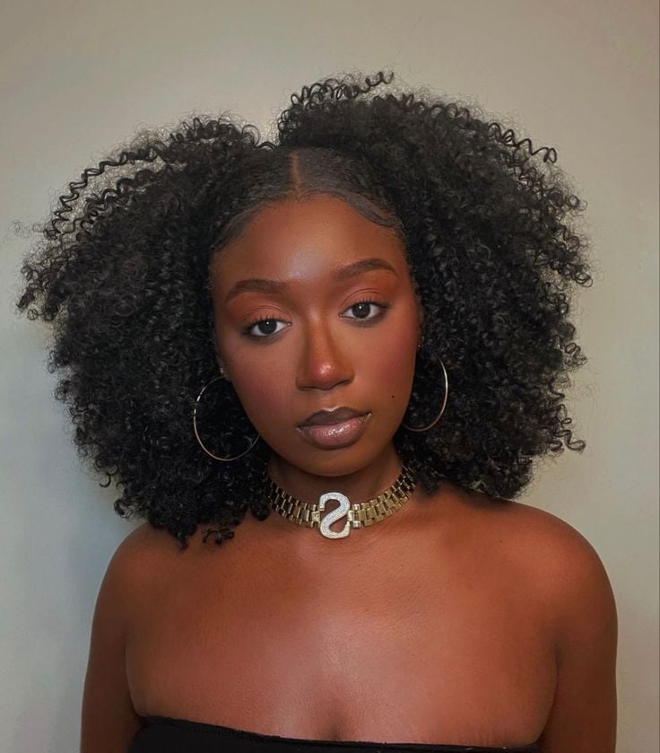 Penteado Cabelo Crespo