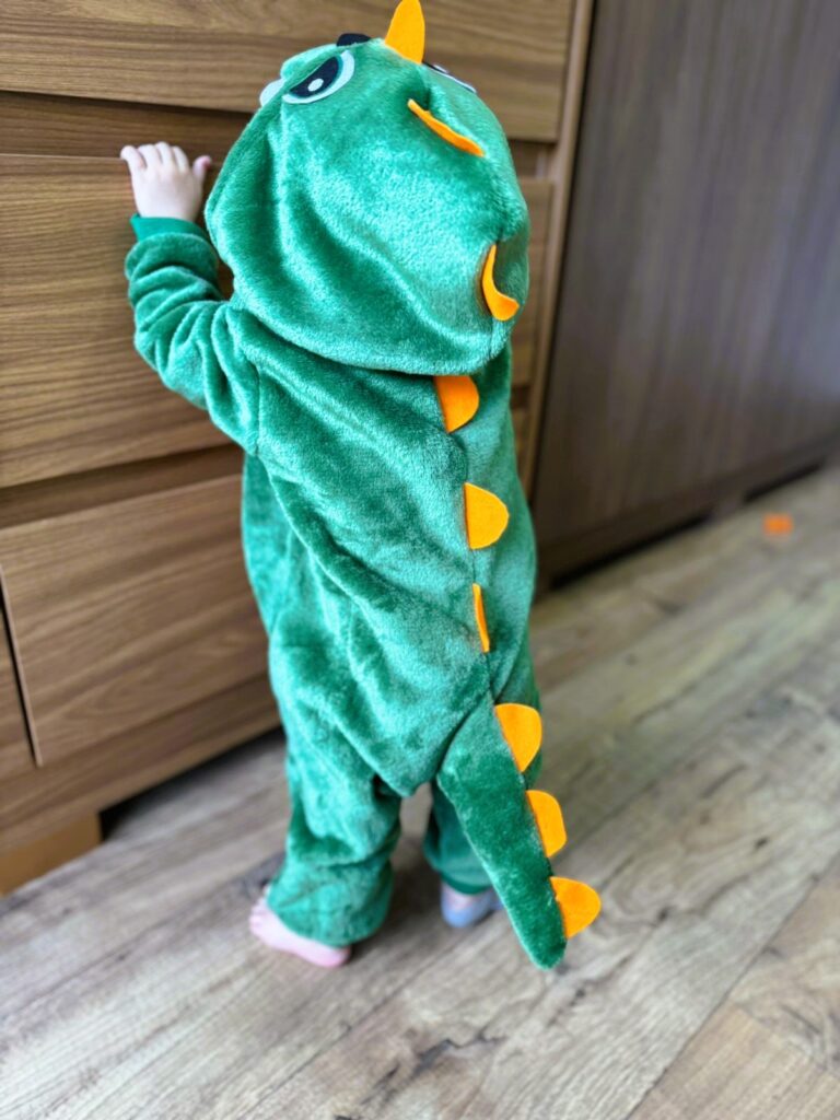 Pijama de dinossauro adulto feminino
