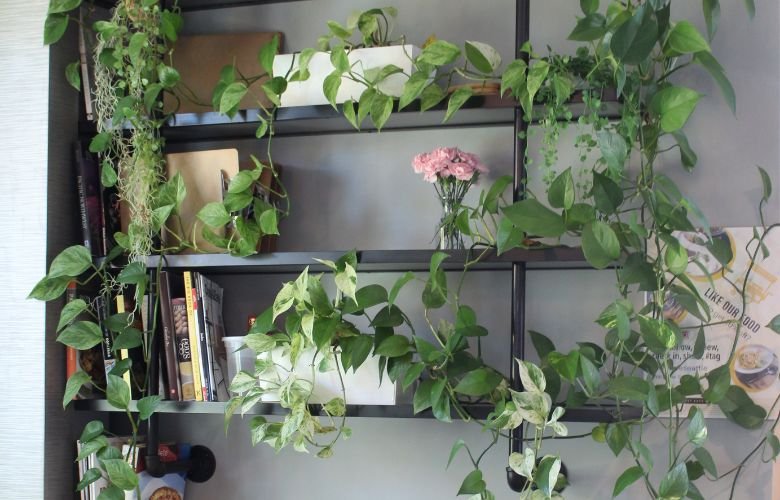 quanto custa montar um jardim vertical na parede