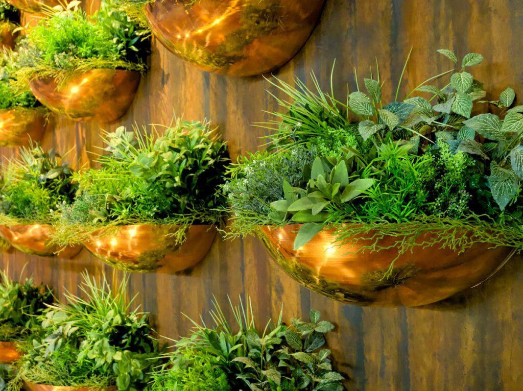 ideias de plantas para pendurar na sala