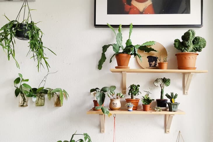 quanto custa montar um jardim vertical na parede