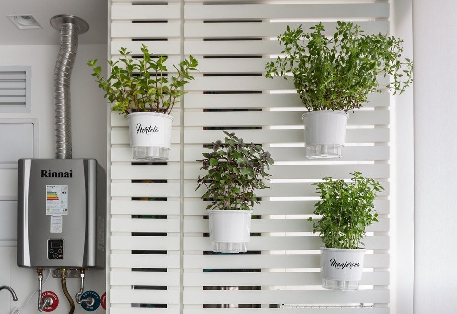 planta para pendurar na parede