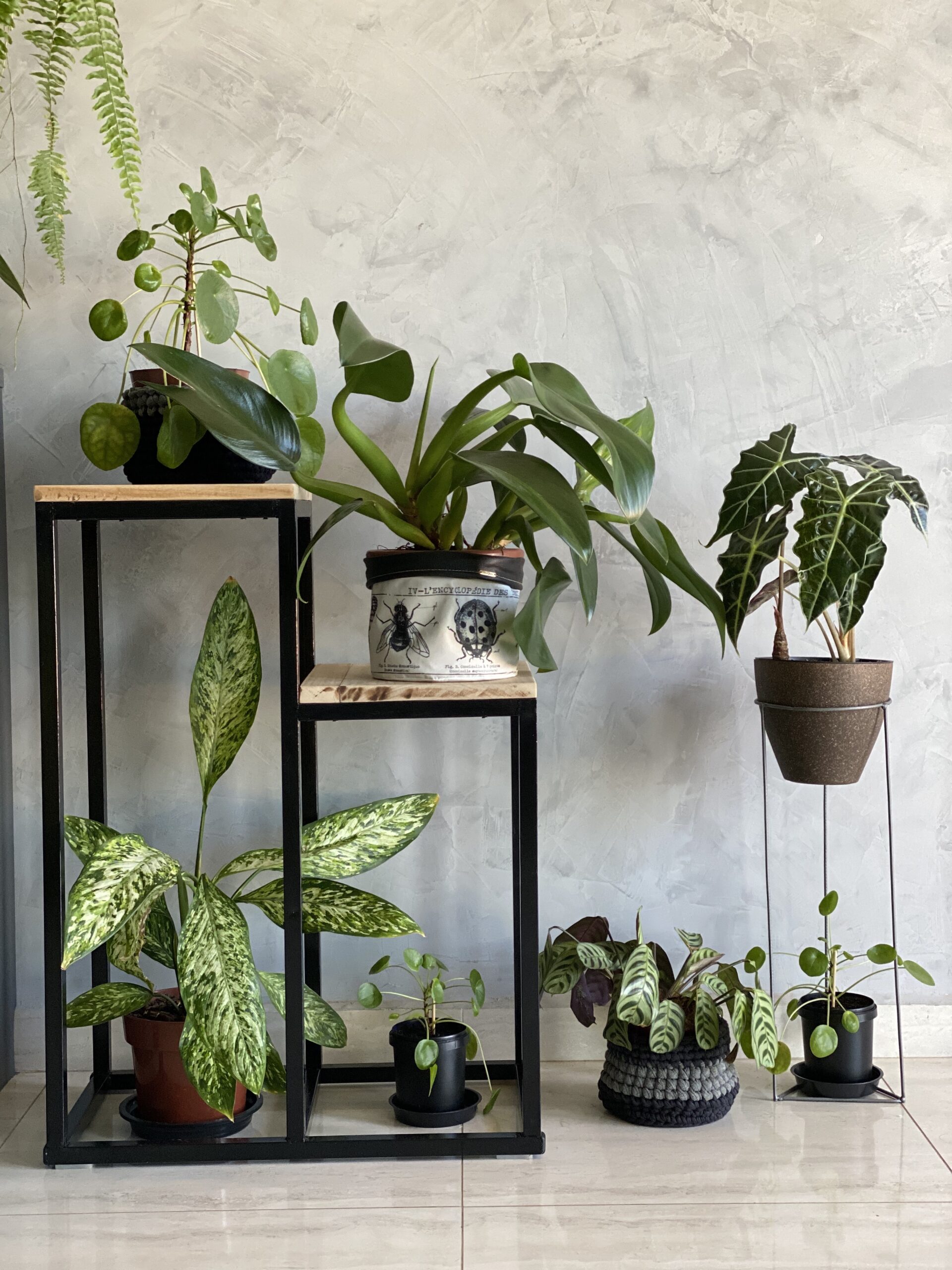 5 Ideias de Plantas Pendentes para Transformar sua Decoração
Como Cuidar de Plantas Pendentes em Casa: Guia Completo
As Melhores Plantas Pendentes para Ambientes com Pouca Luz
Suculentas Pendentes: Beleza e Facilidade para seu Jardim Vertical
Plantas Pendentes com Flores: Toque de Cor e Charme em Cascata