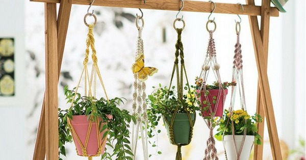 5 Ideias de Plantas Pendentes para Transformar sua Decoração
Como Cuidar de Plantas Pendentes em Casa: Guia Completo
As Melhores Plantas Pendentes para Ambientes com Pouca Luz
Suculentas Pendentes: Beleza e Facilidade para seu Jardim Vertical
Plantas Pendentes com Flores: Toque de Cor e Charme em Cascata