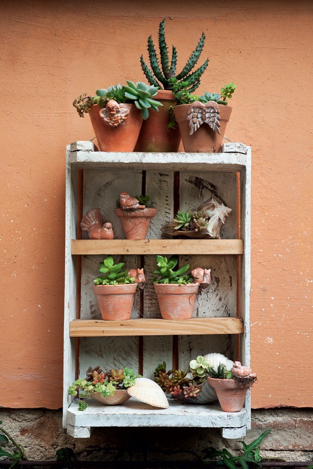 planta que cai do vaso