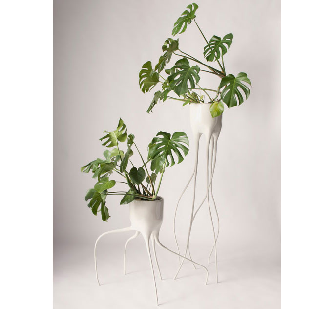 5 Ideias de Plantas Pendentes para Transformar sua Decoração
Como Cuidar de Plantas Pendentes em Casa: Guia Completo
As Melhores Plantas Pendentes para Ambientes com Pouca Luz
Suculentas Pendentes: Beleza e Facilidade para seu Jardim Vertical
Plantas Pendentes com Flores: Toque de Cor e Charme em Cascata