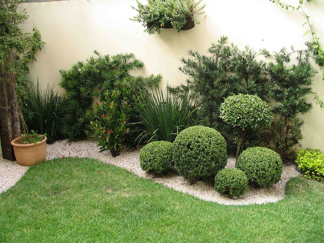 plantas ornamentais para jardim
