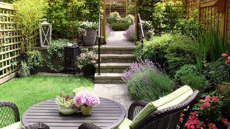 erros comuns ao escolher plantas para jardim com pouca luz