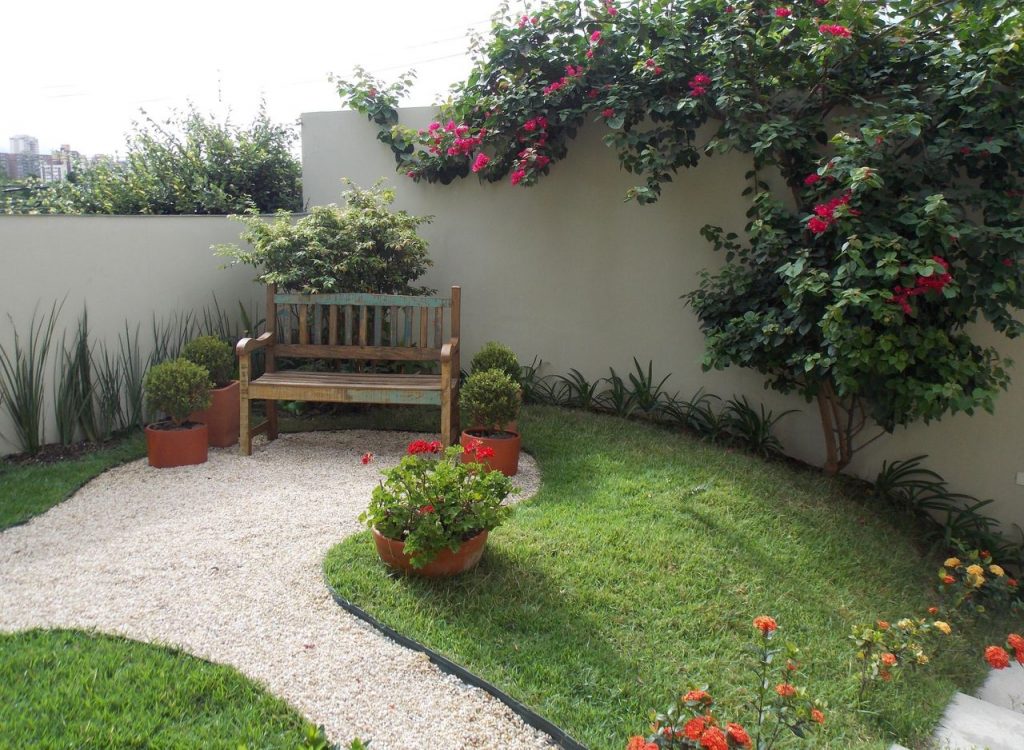 plantas ornamentais para jardim