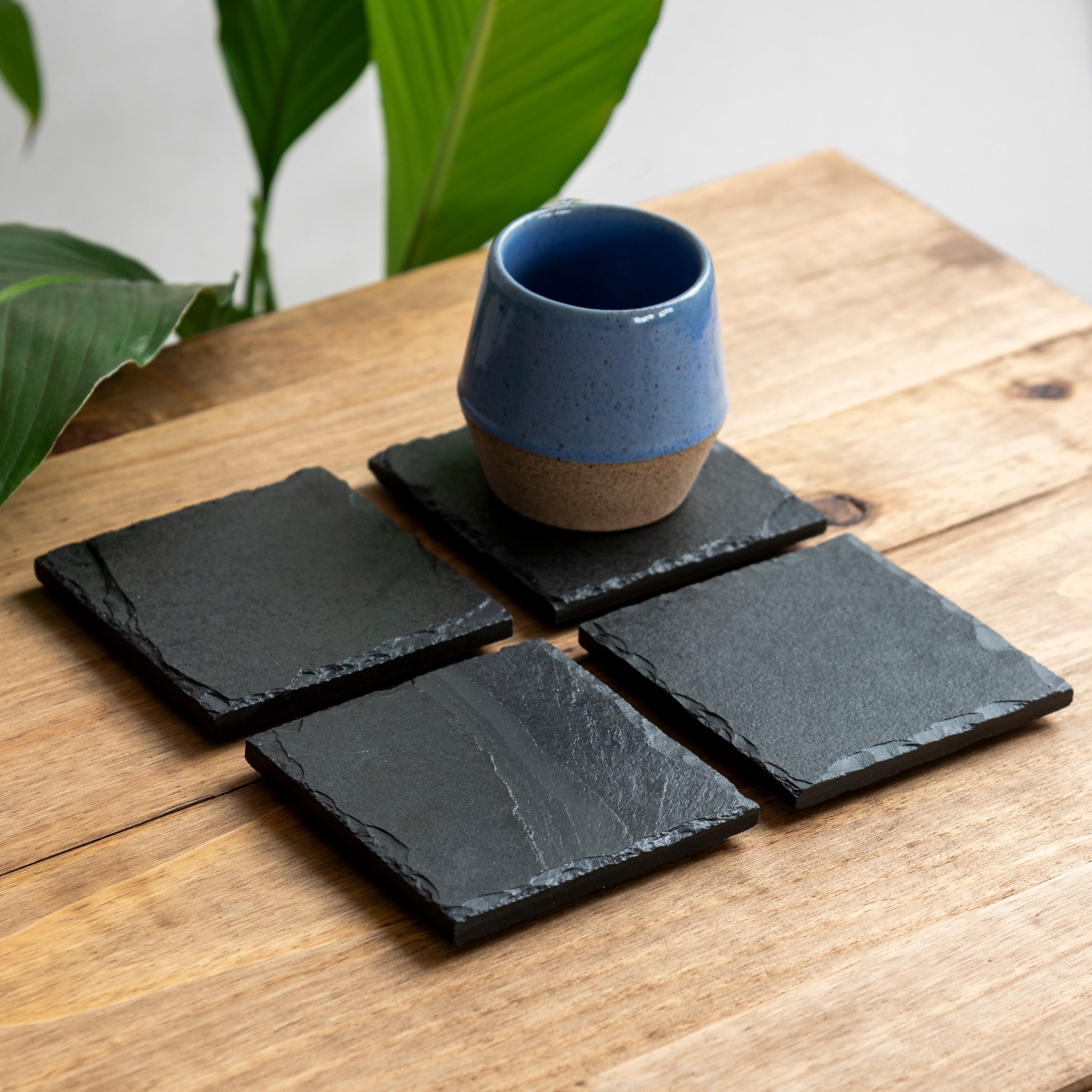 porta copos absorvente