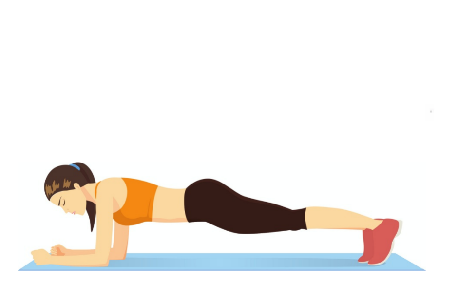 Ponte isométrica abdominal