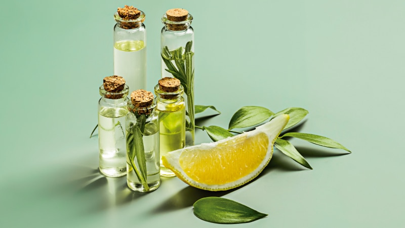 Top 5 Corretivos Veganos Cruelty-Free para o Dia a Dia