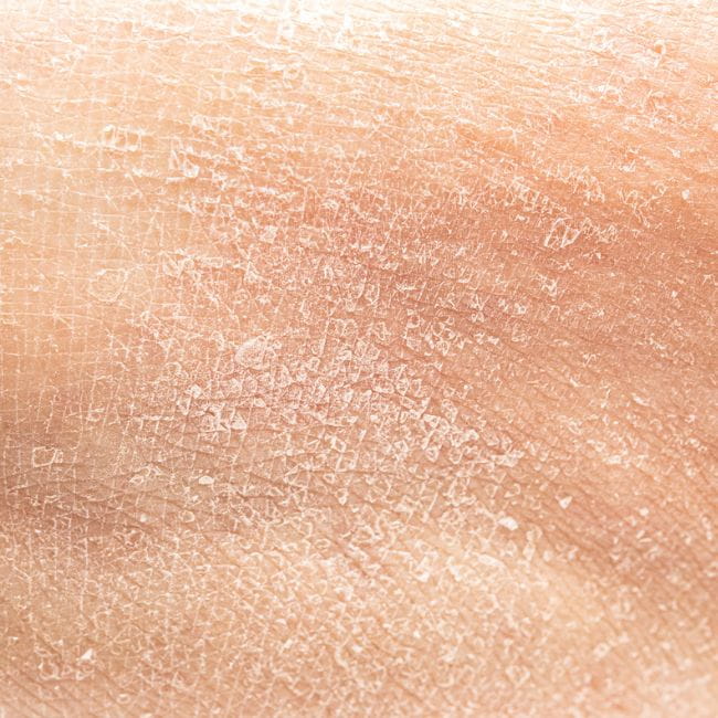 Técnicas de Aplicação de Base para um Acabamento Natural e Duradouro