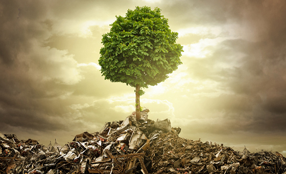 Agenda 2030 e ODS 12: O Papel da Redução de Resíduos no Desenvolvimento Sustentável