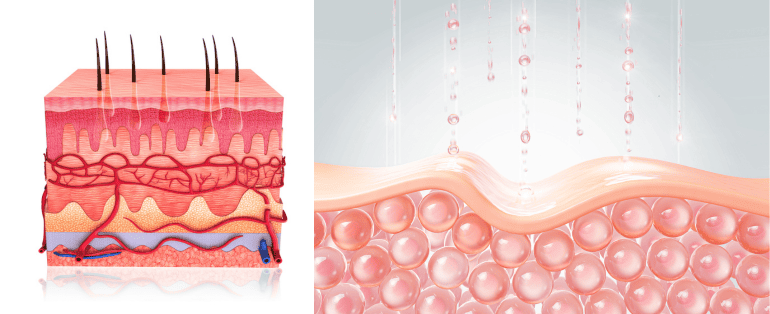 Como proteger sua pele dos fatores que prejudicam a renovação celular