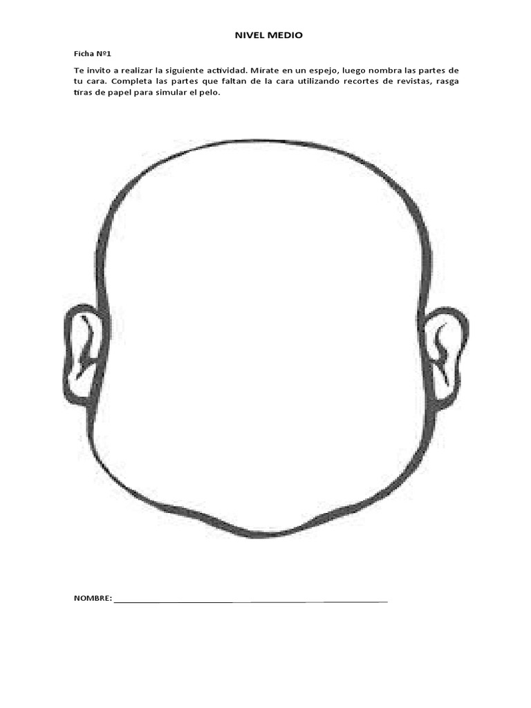 Face Charts: O Que São e Como Usar para Treinar Maquiagem