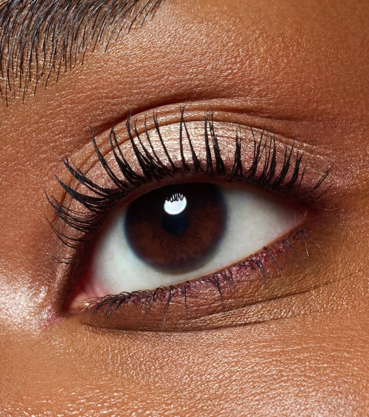 Top 5 Sombras Champagne de Longa Duração para Festas e Eventos