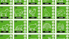 sonhar com maquiagem