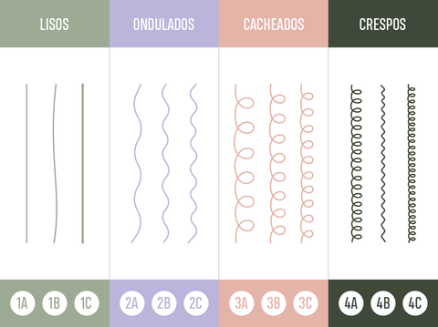 Sistema André Walker