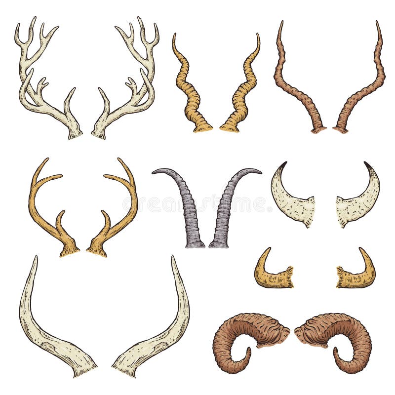 produtos para cabelo cacheado