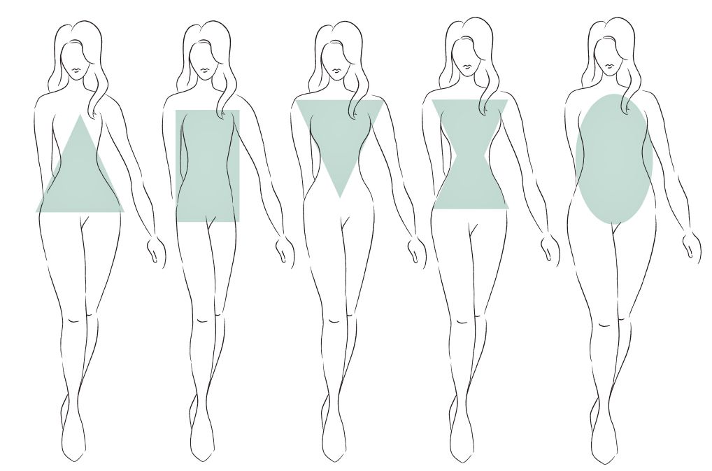 tipos de corpo e proporções