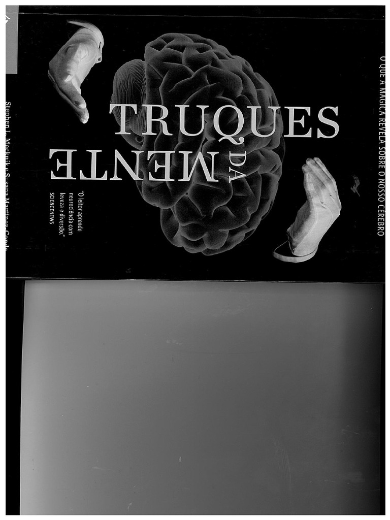 As Cores Secretas da Produtividade: Otimize Seu Ambiente