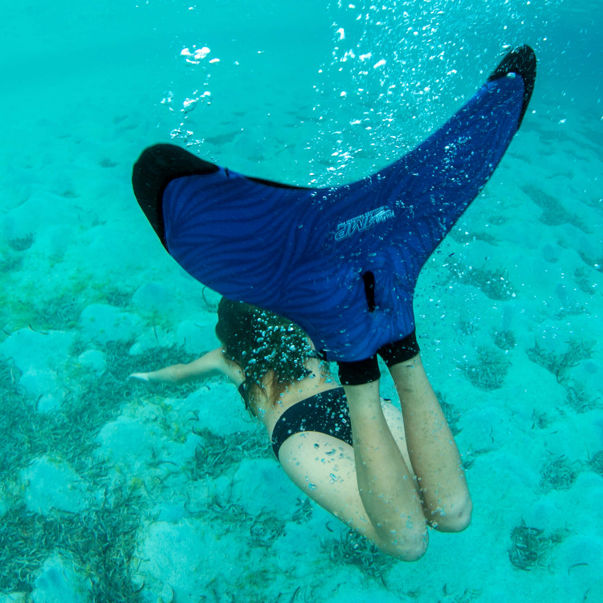 Guia Completo: Como Escolher o Monofin Ideal para Cada Finalidade