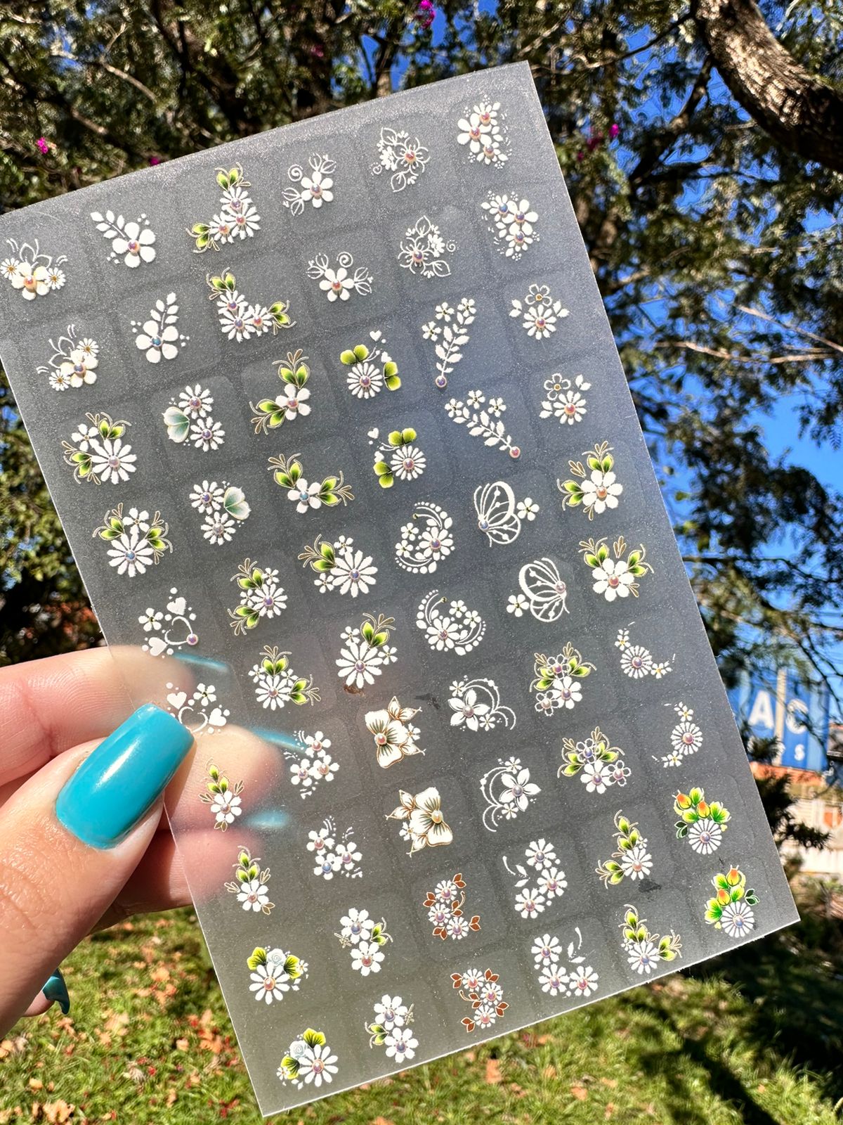 Caviar e Joias – Qual Escolher?