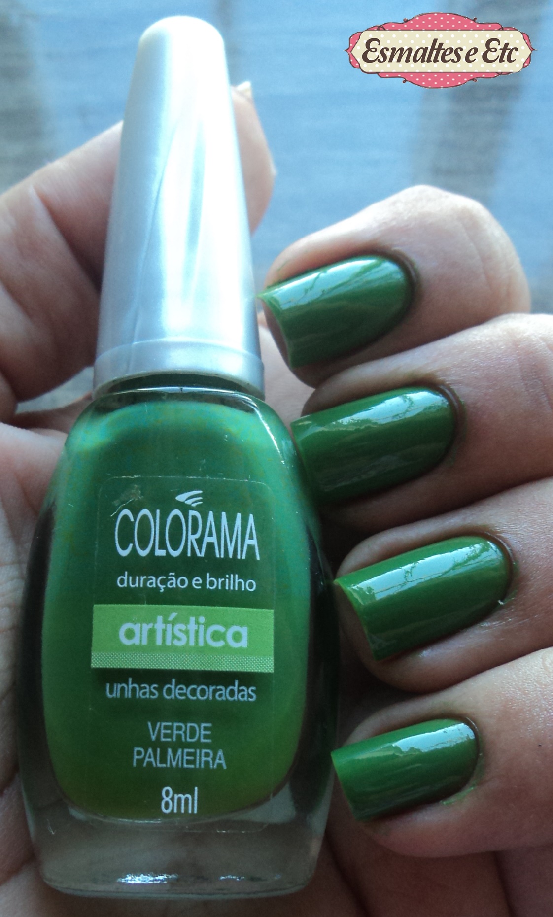 unhas decoradas palmeiras