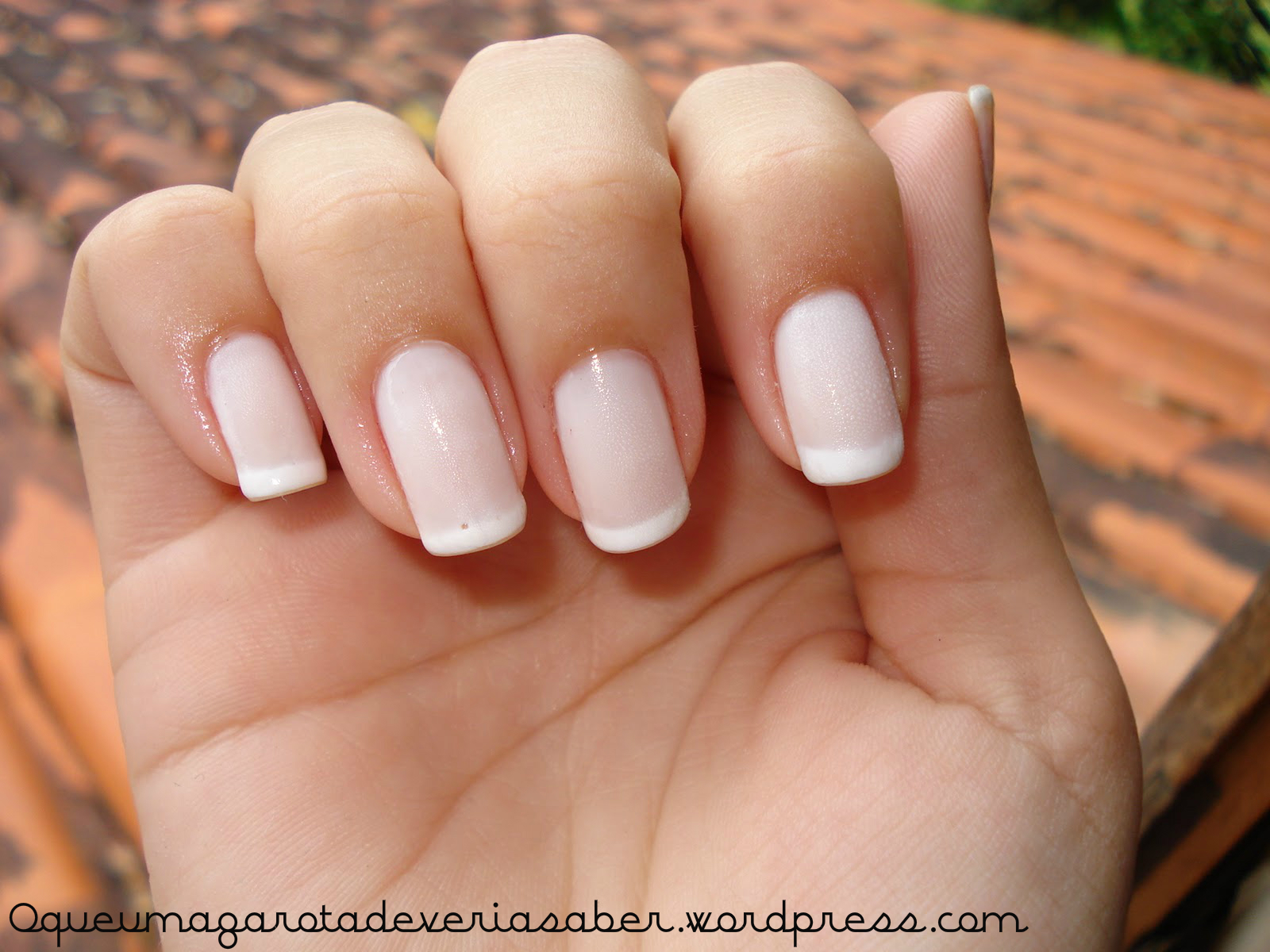 Dominando a Francesinha em Casa: Ferramentas Essenciais e Dicas de Aplicação