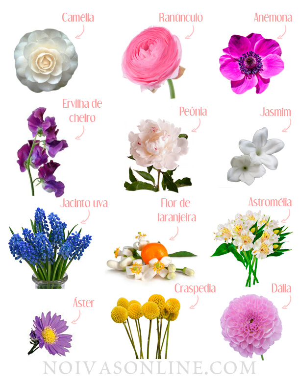 tipos de flores
