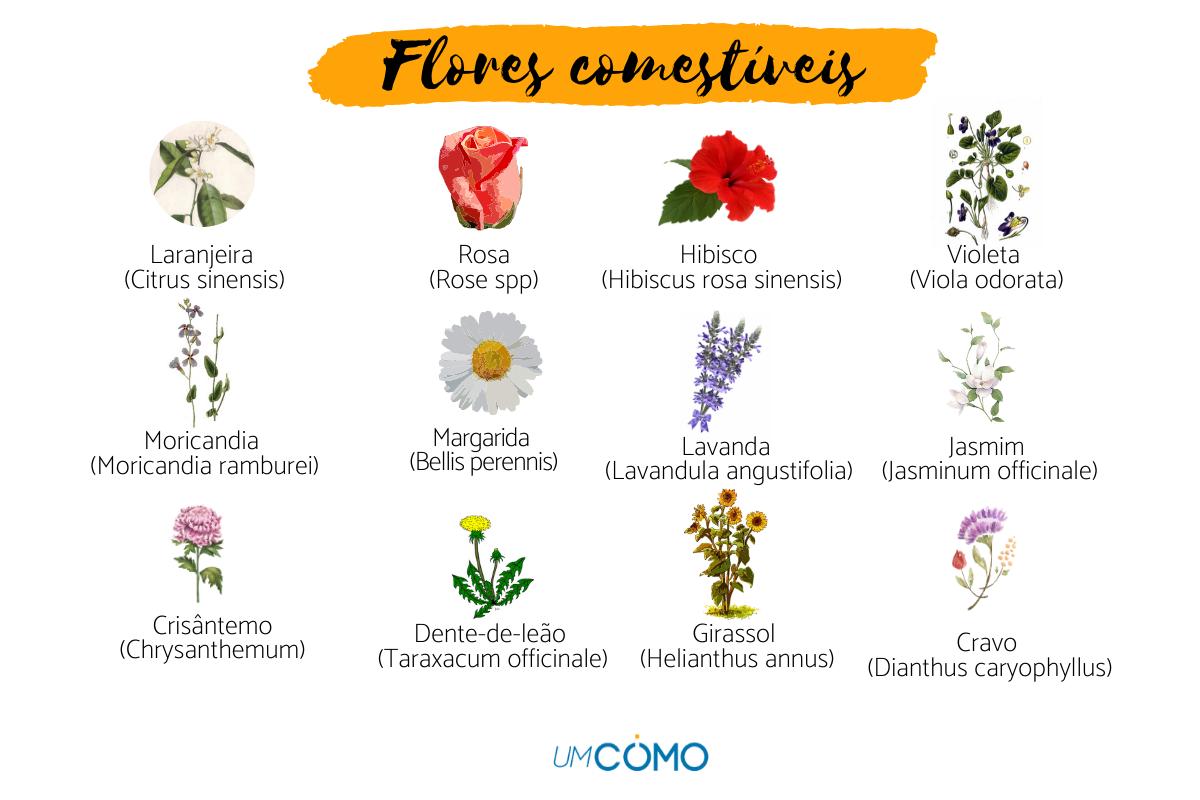 nomes de flores com significado