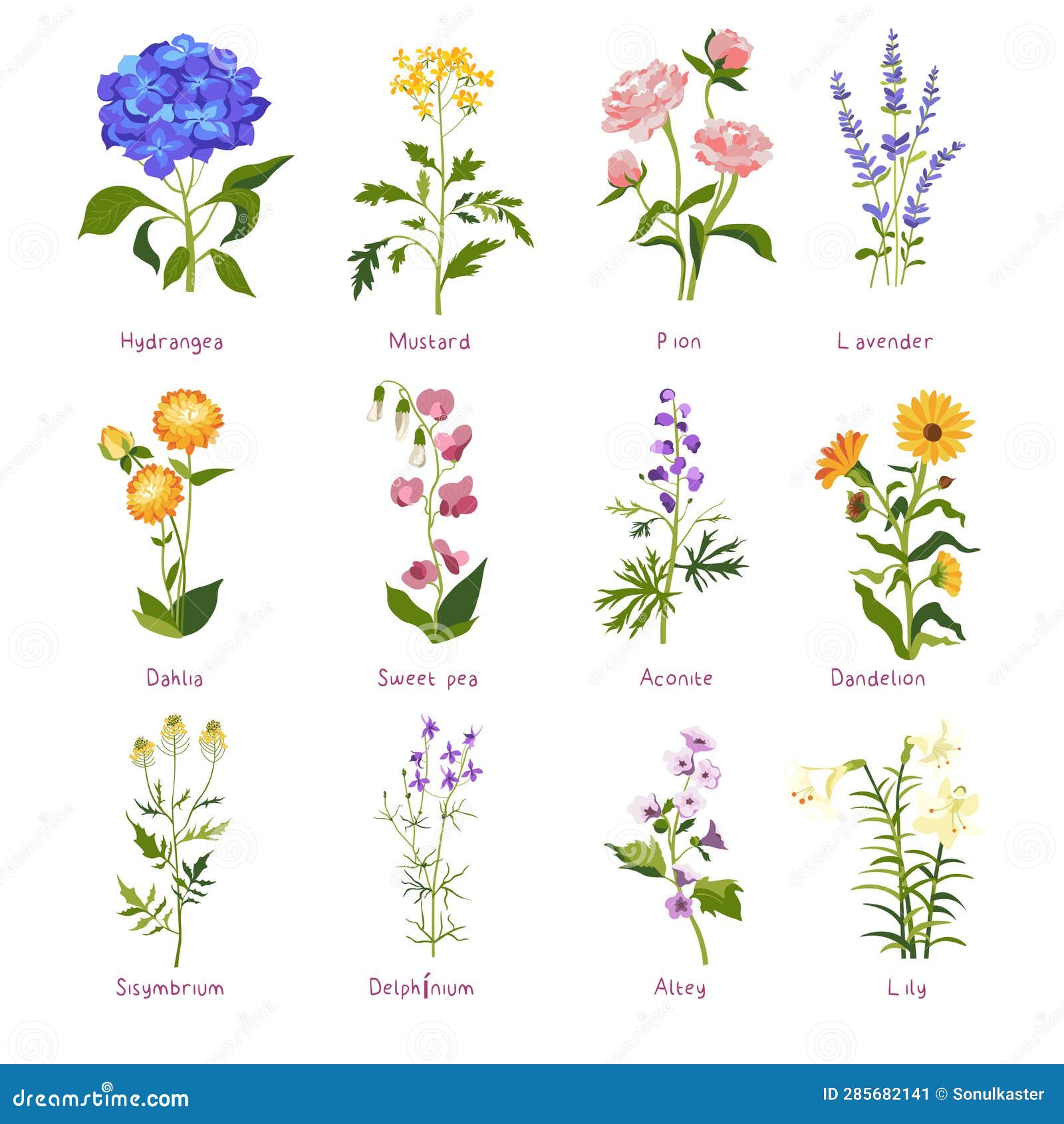 flores populares